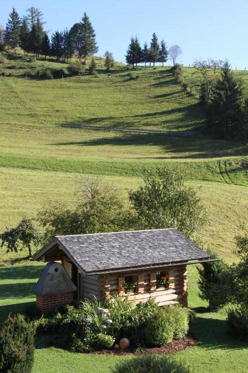 Schrattengut Apartment Abtenau